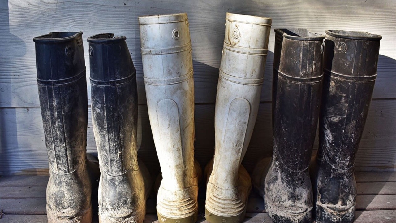 Photo of Others in Fish Creek