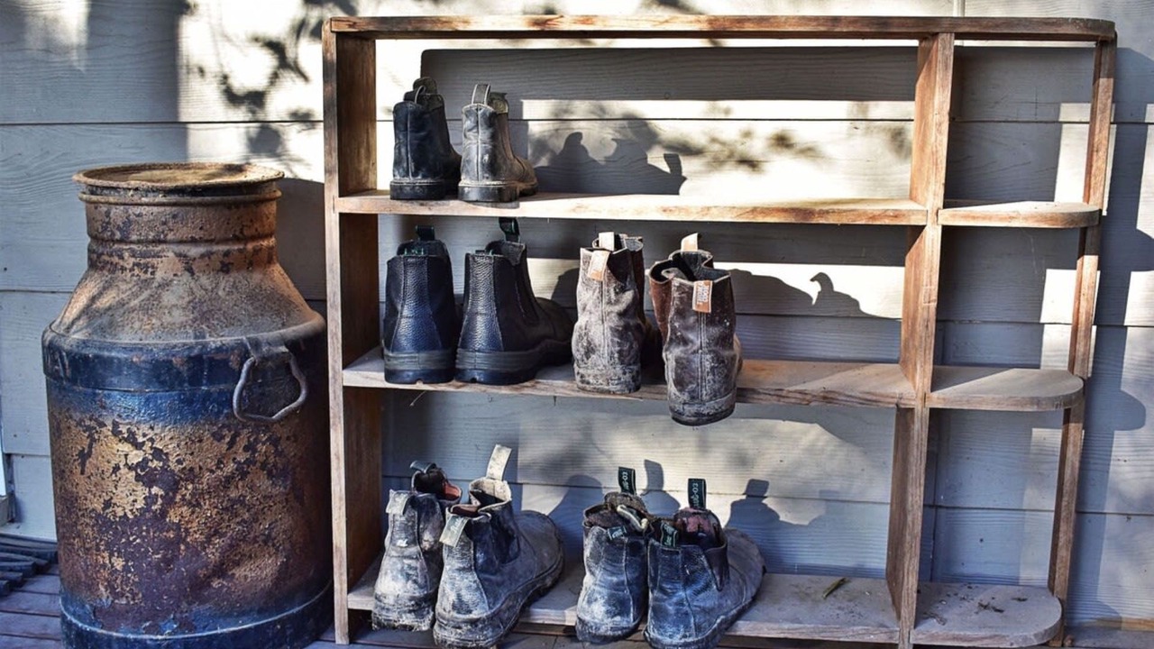 Photo of Others in Fish Creek