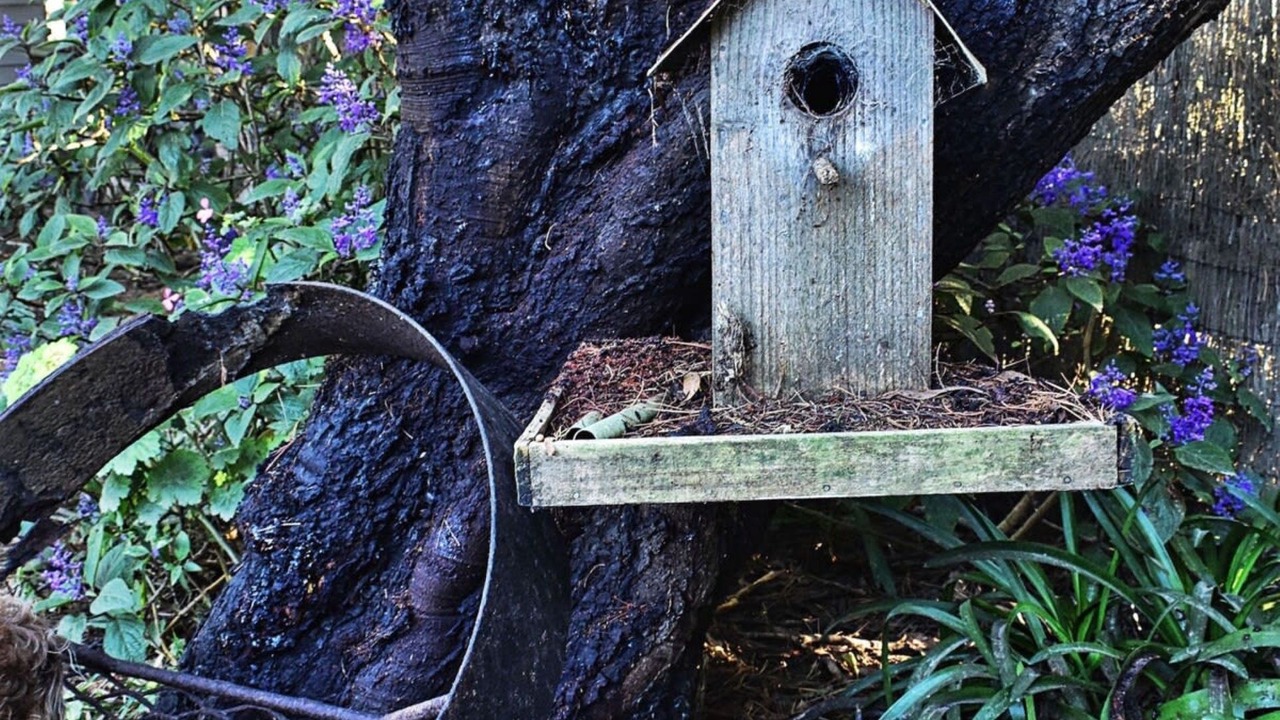 Photo of Outdoor in Fish Creek