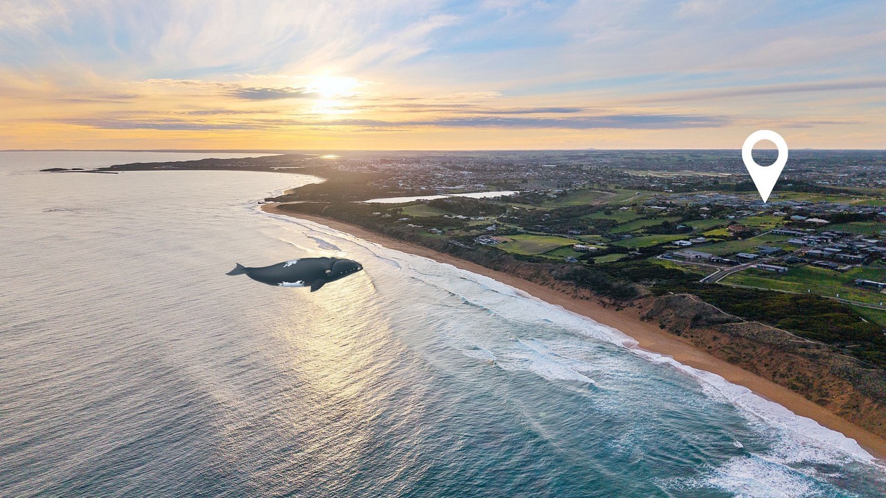Photo of Others in Warrnambool