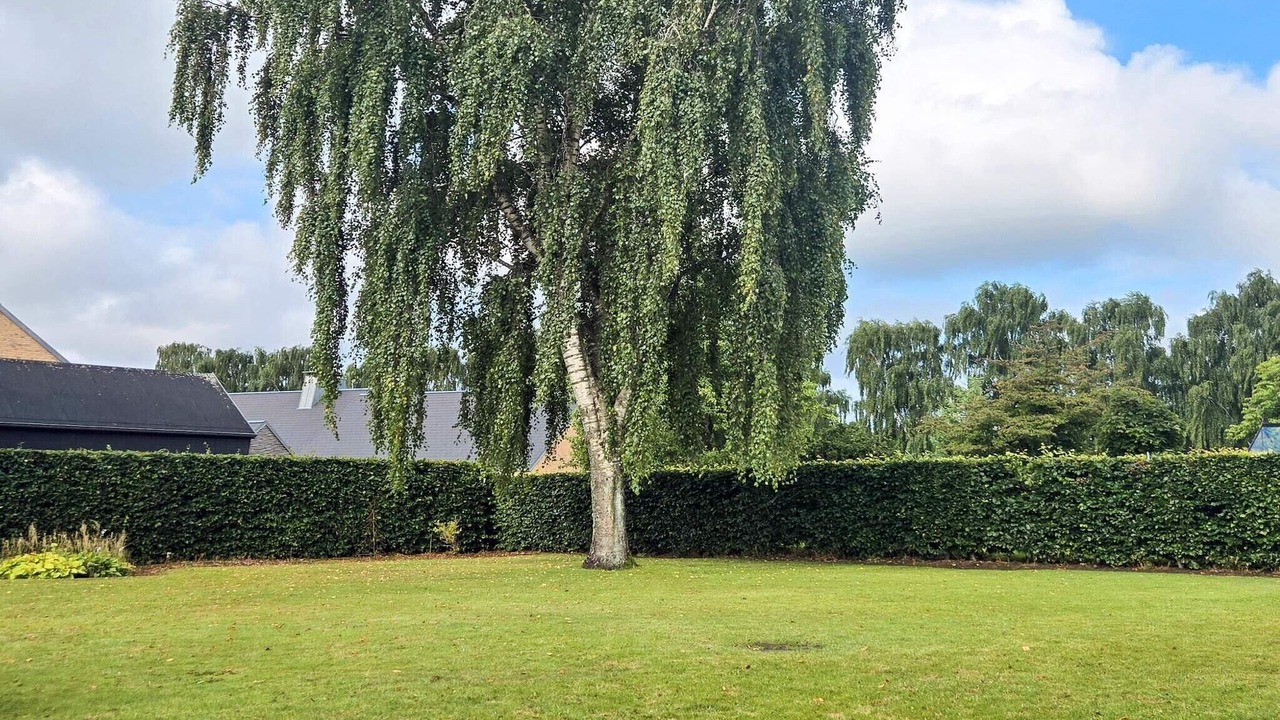 Photo of Outdoor in Ansager
