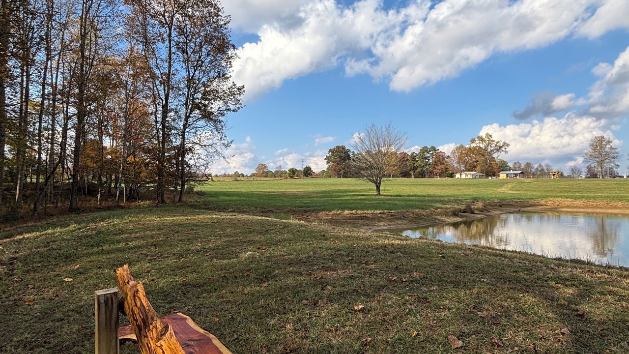 Photo of Outdoor in Pisgah
