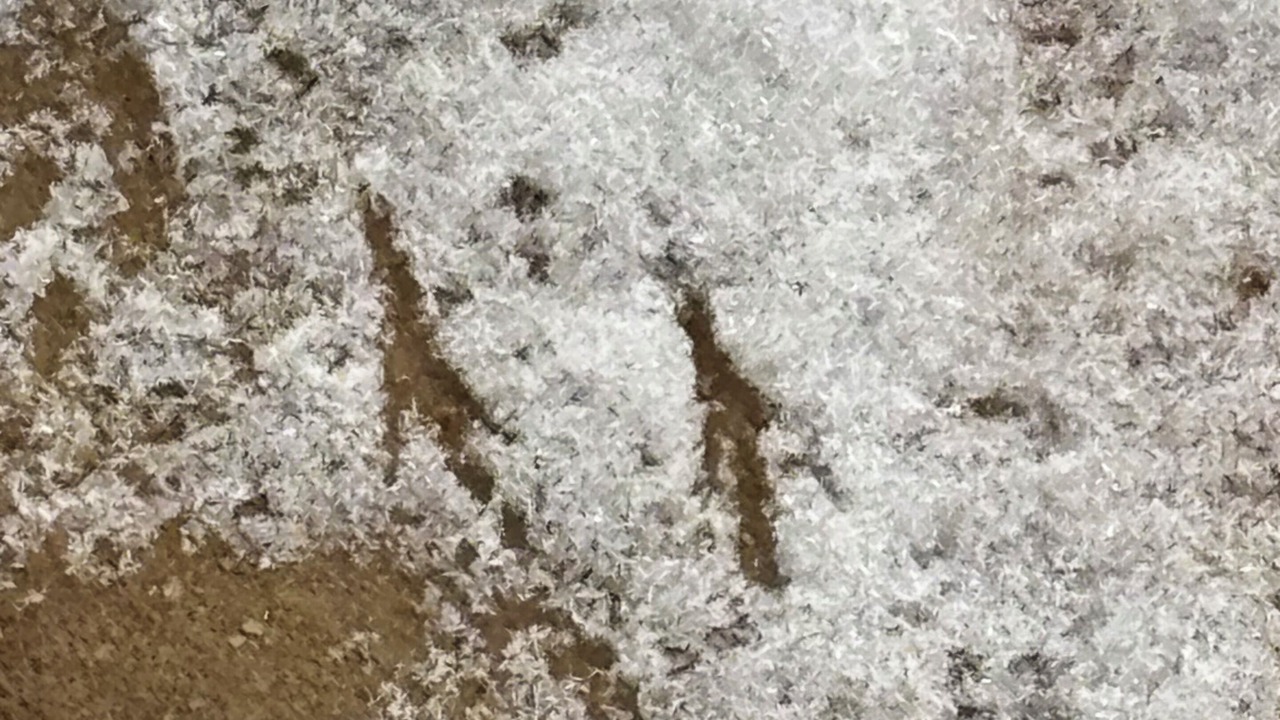 Photo of Others in Pisgah