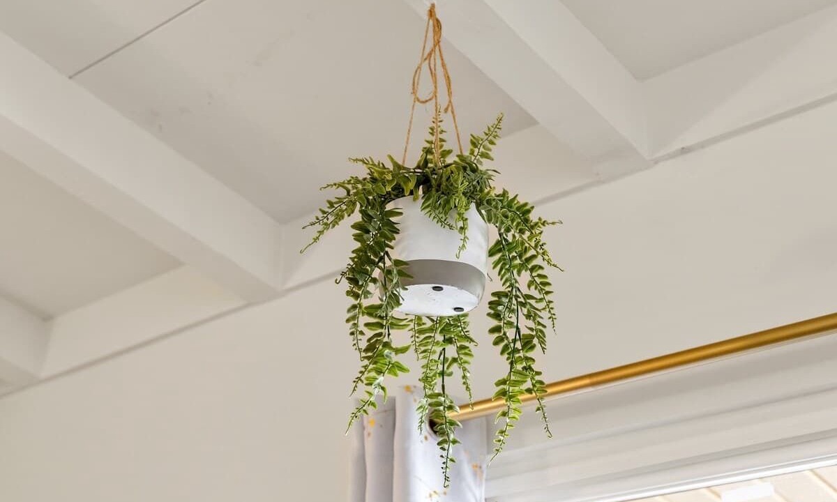 Photo of Others in East San Mateo