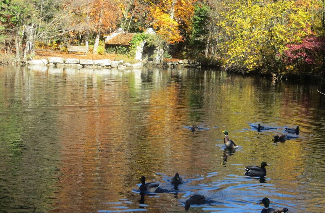 Photo of Others in Gap