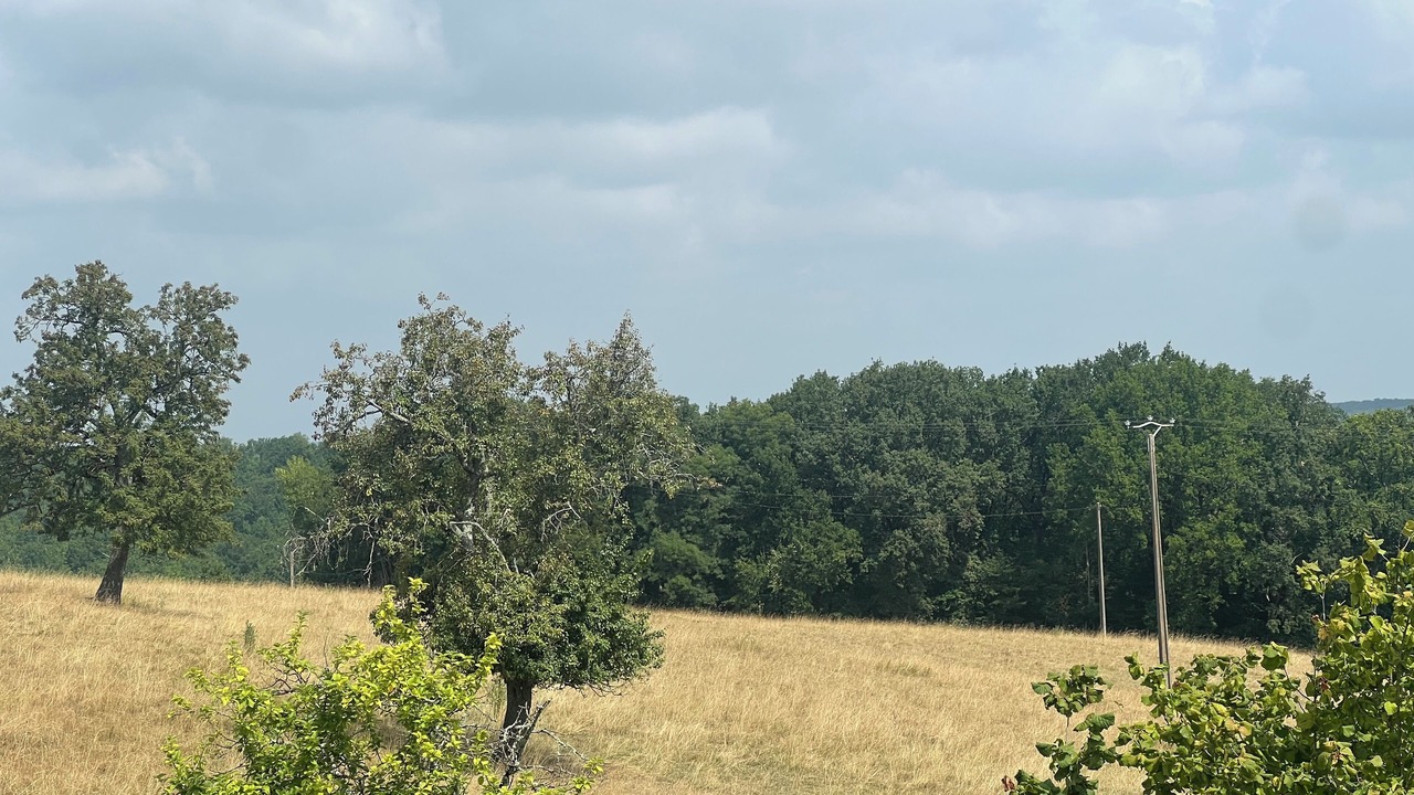 Photo of Others in Monflanquin
