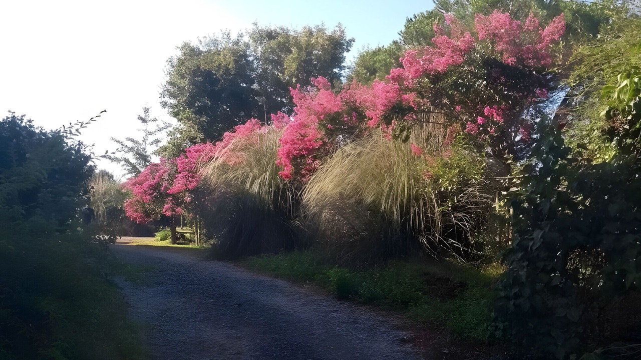 Photo of Others in Sevignacq