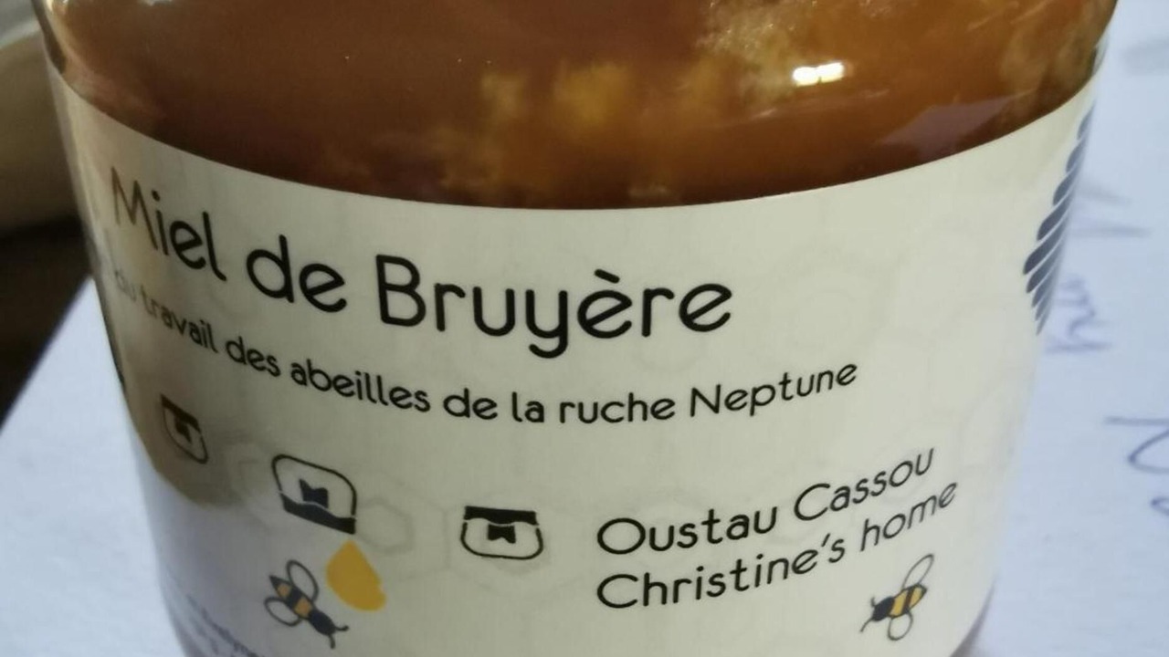 Photo of Others in Sevignacq