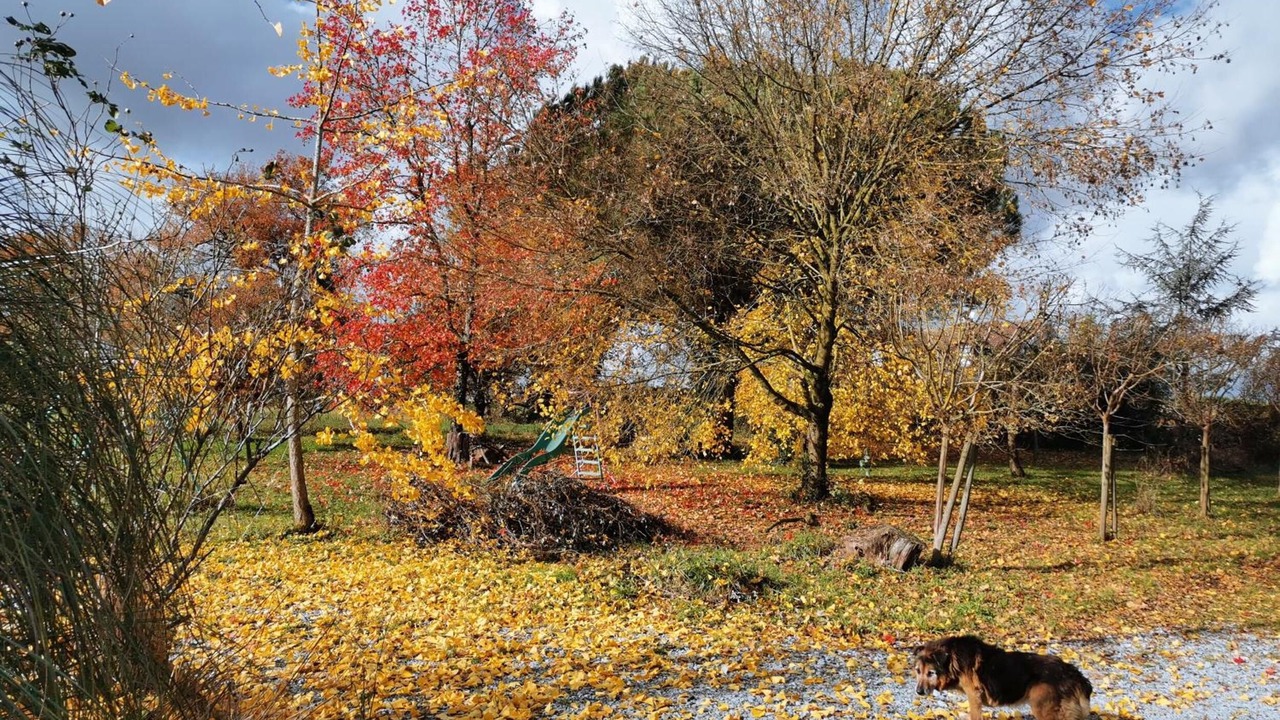 Photo of Outdoor in Sevignacq