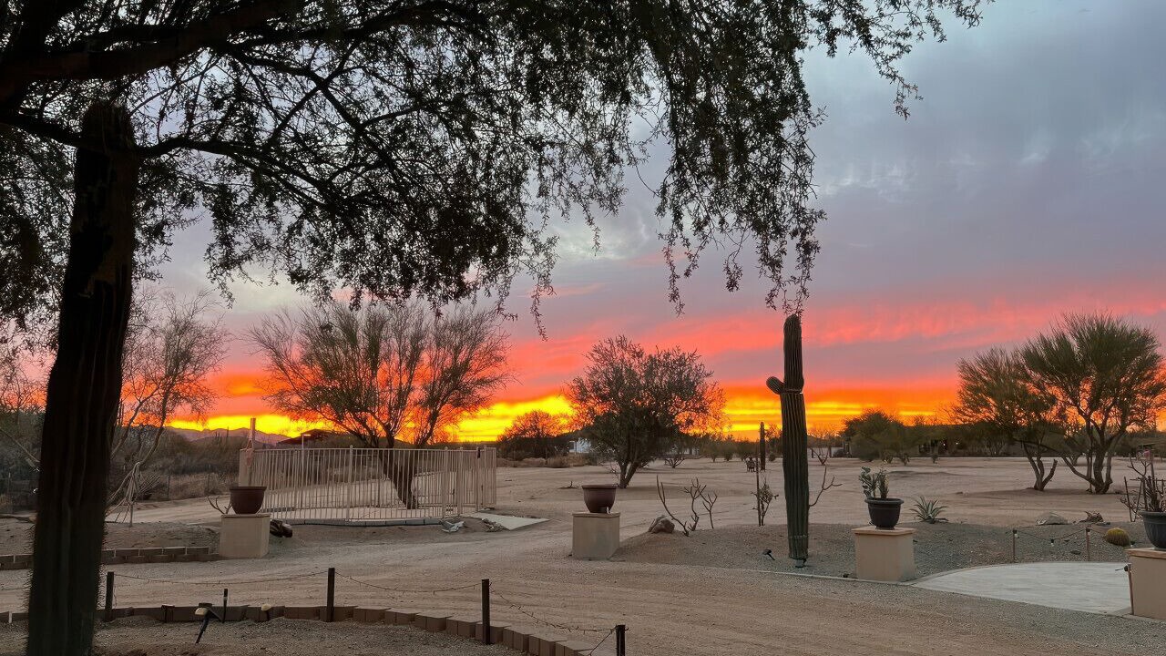 Photo of Others in Rio Verde Foothills