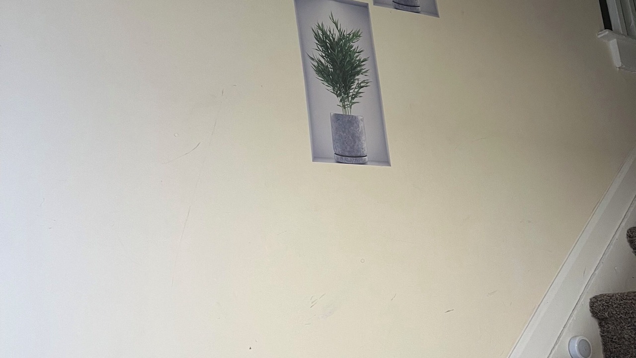 Photo of Others in Trenton