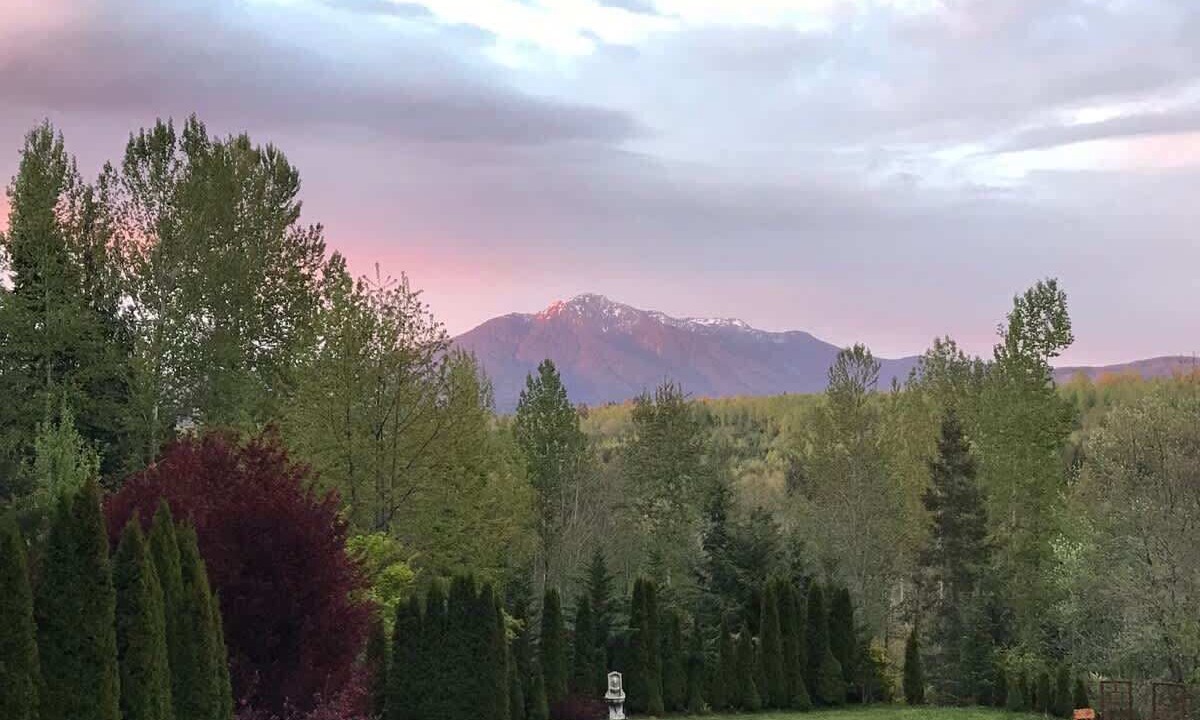 Photo of Others in Snohomish