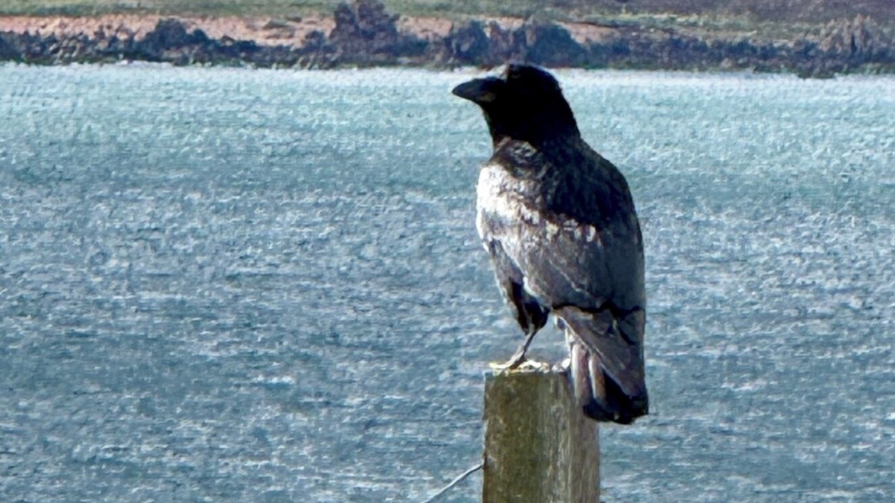 Photo of Others in Eyemouth