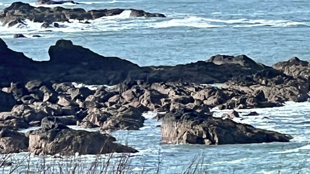 Photo of Others in Eyemouth