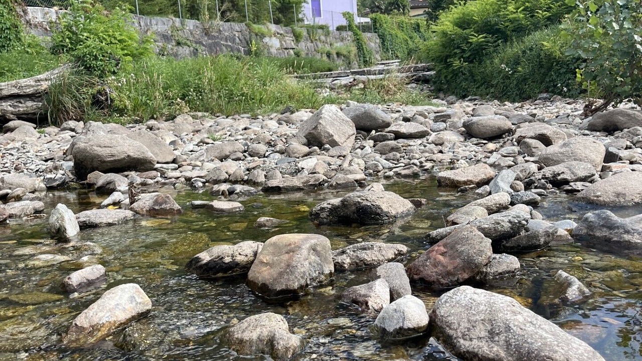 Photo of Others in Riazzino