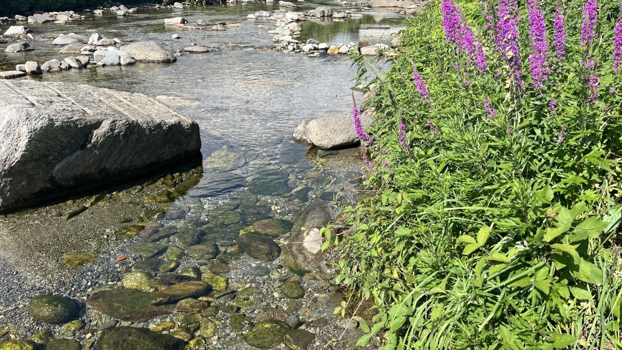 Photo of Others in Riazzino