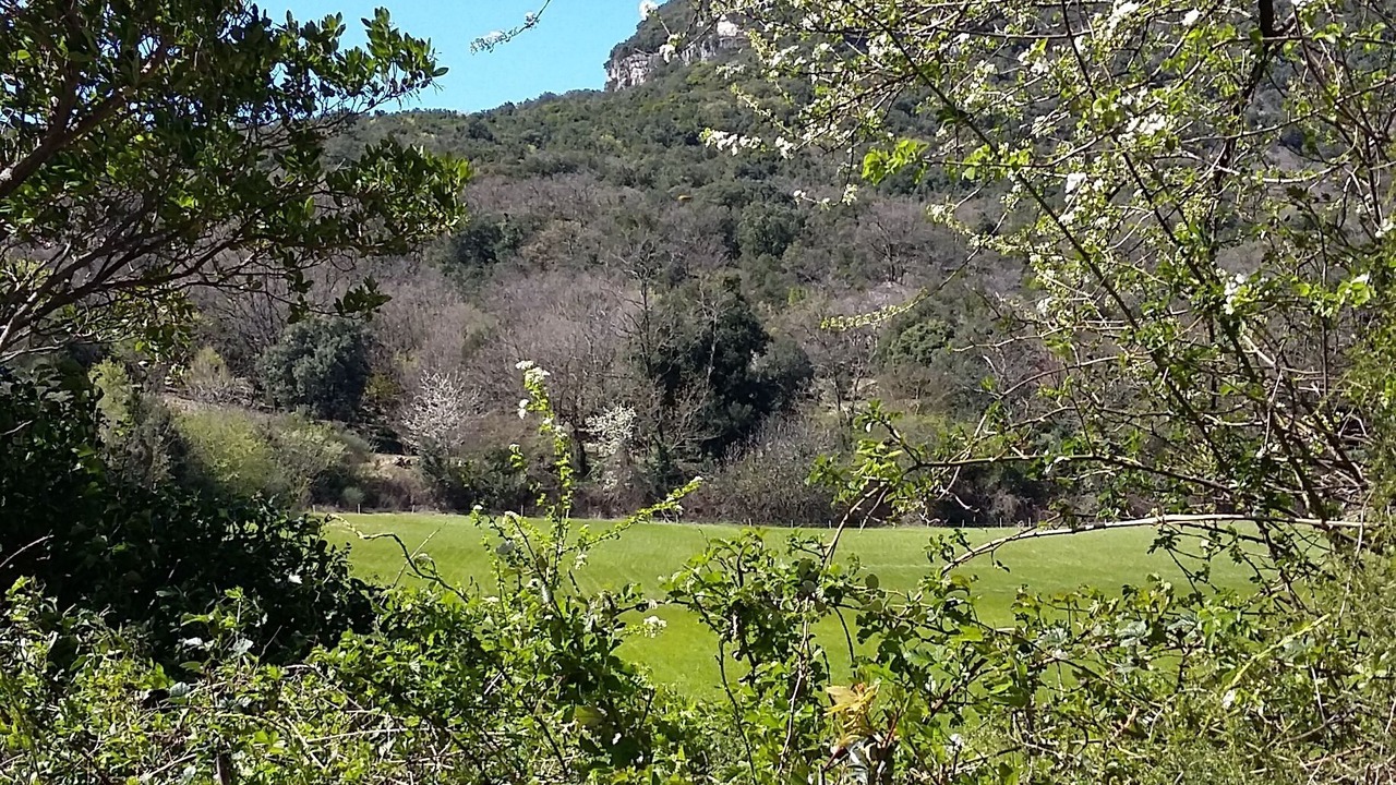 Photo of Others in Lodeve