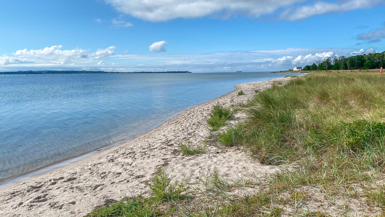 Photo of Others in Lystrup