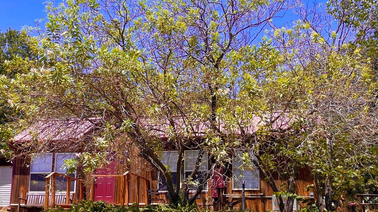Photo of Outdoor in Mineral Wells