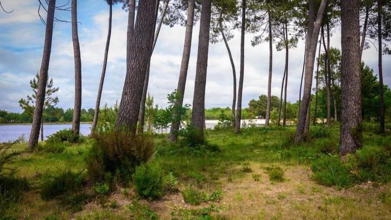 Photo of Others in Ousse-Suzan