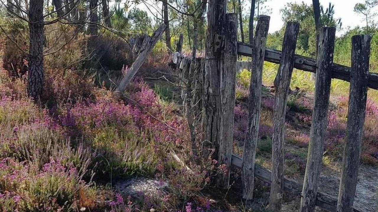 Photo of Others in Ousse-Suzan