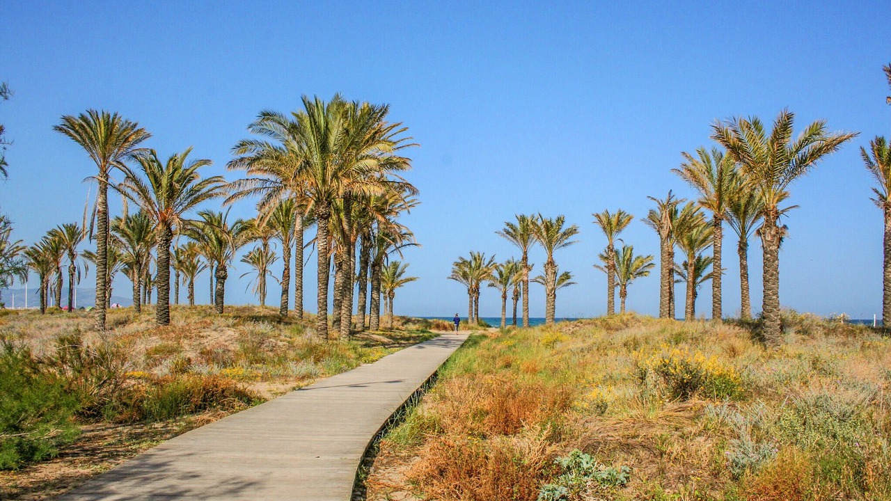 Photo of Others in El Grao de Castellon