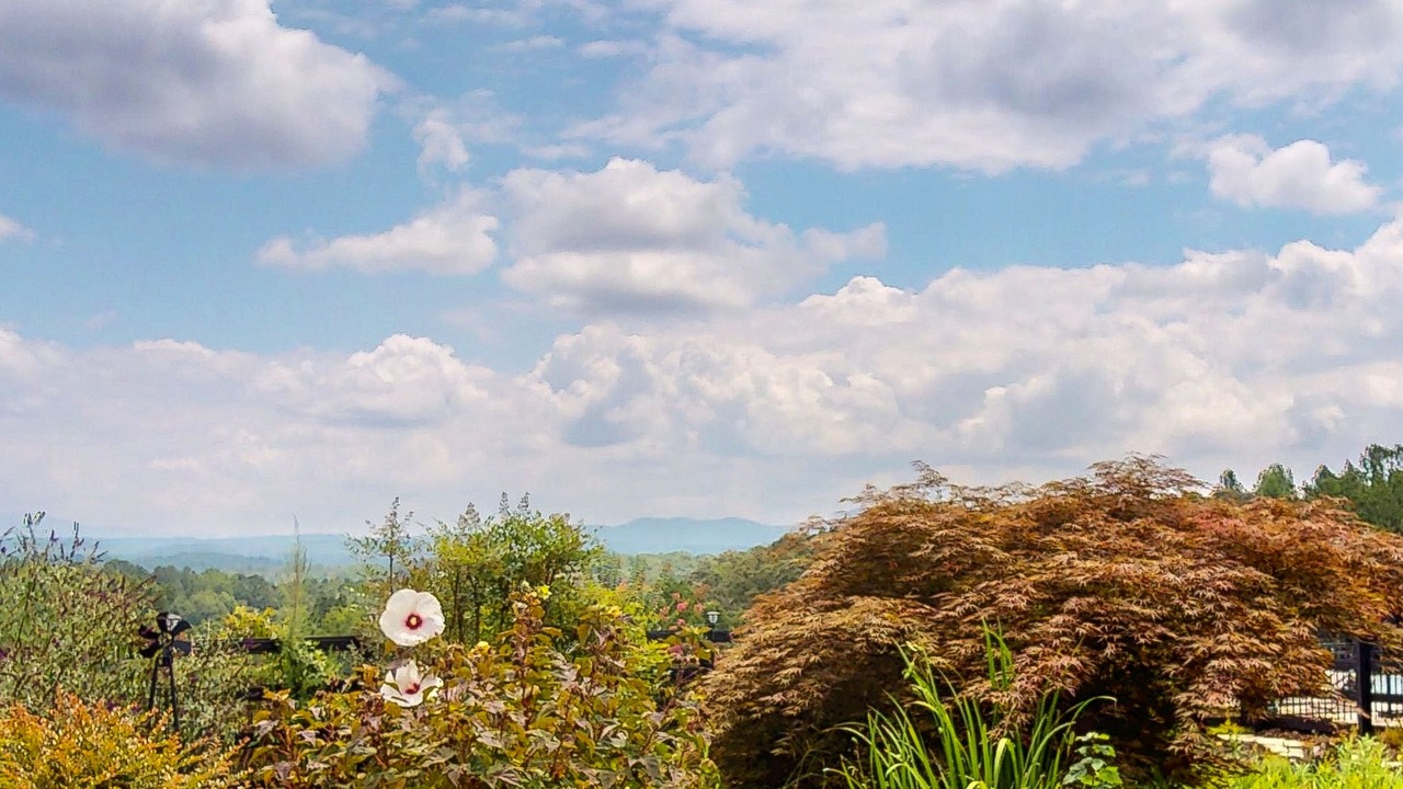 Photo of Others in Talking Rock