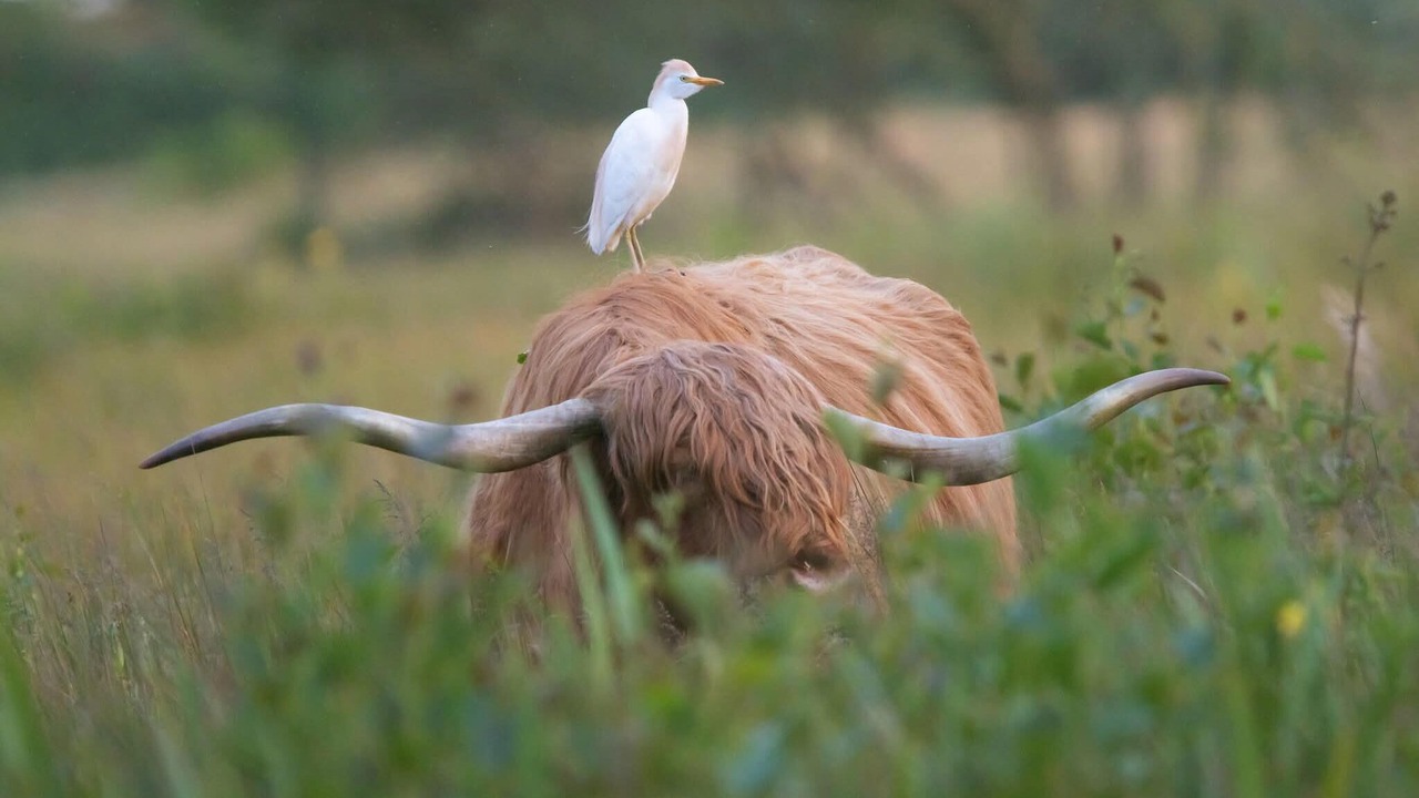 Photo of Others in Favieres