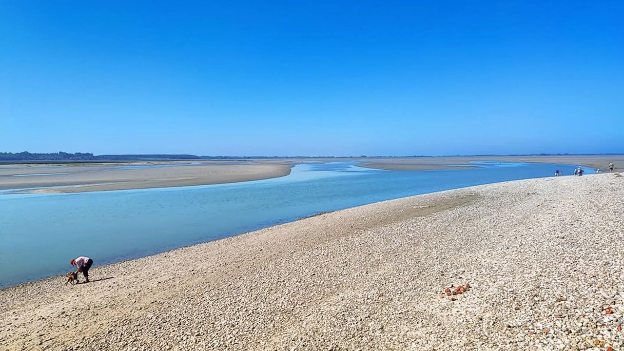 Photo of Others in Favieres