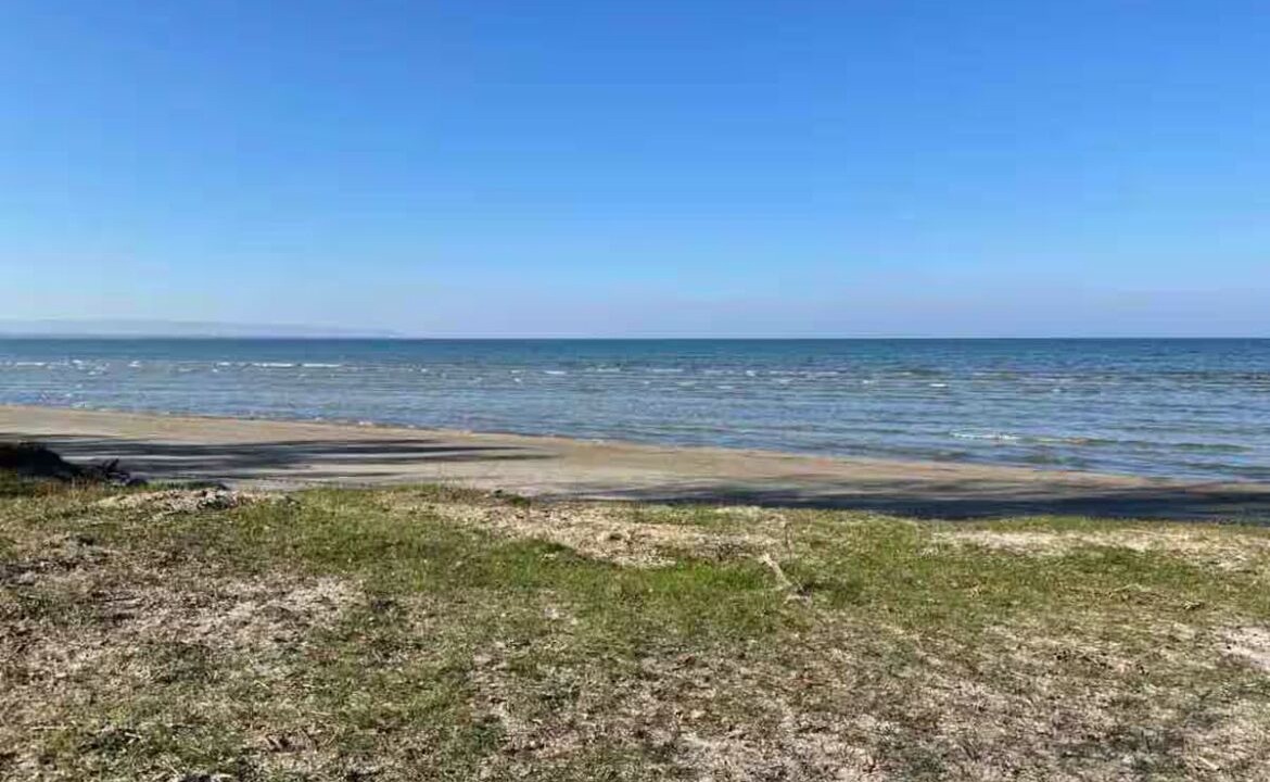 Photo of Others in Wasaga Beach