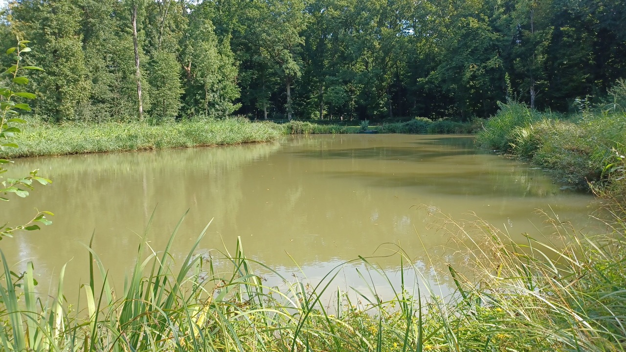 Photo of Others in Hinacourt