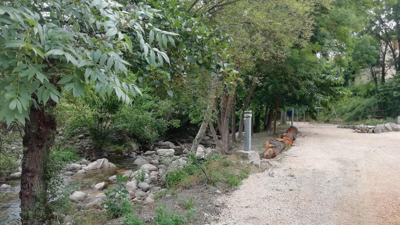 Photo of Others in Campome