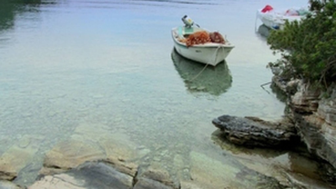 Photo of Others in Milna (Brac)