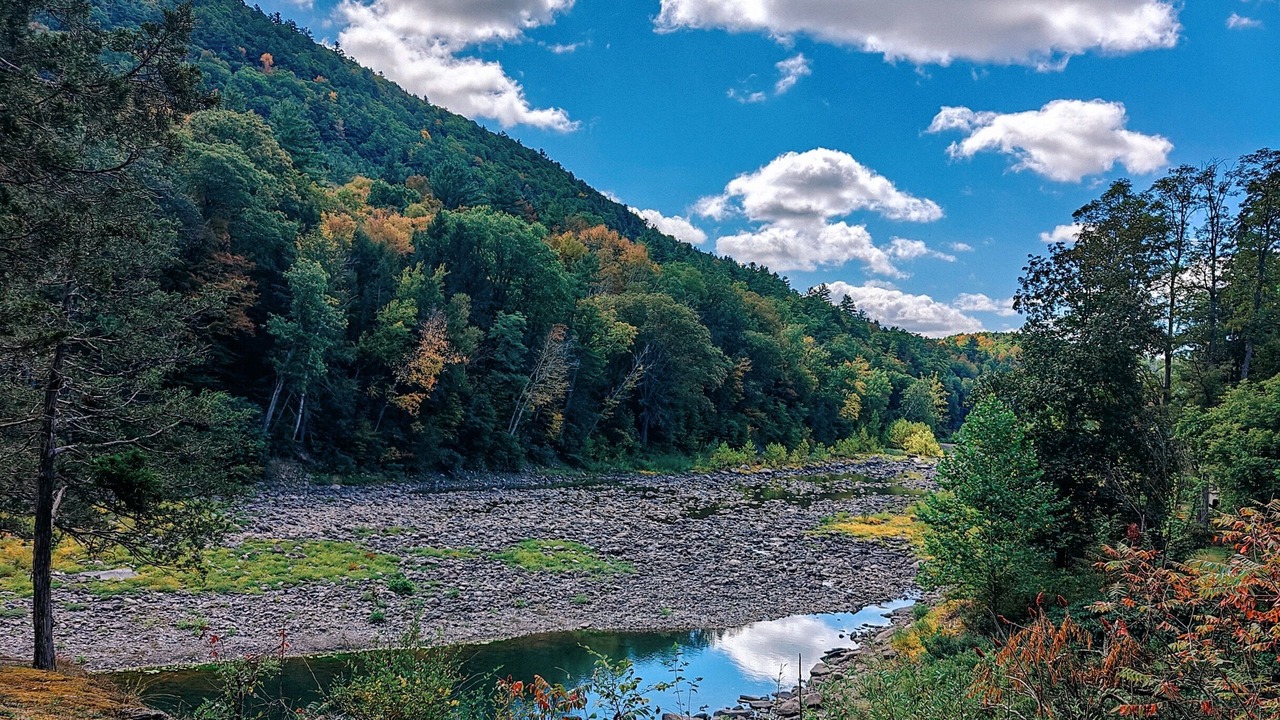 Photo of Others in Gilboa