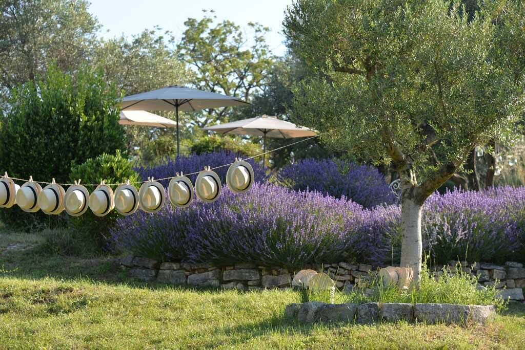 Photo of Outdoor in Saint-Christol-de-Rodieres