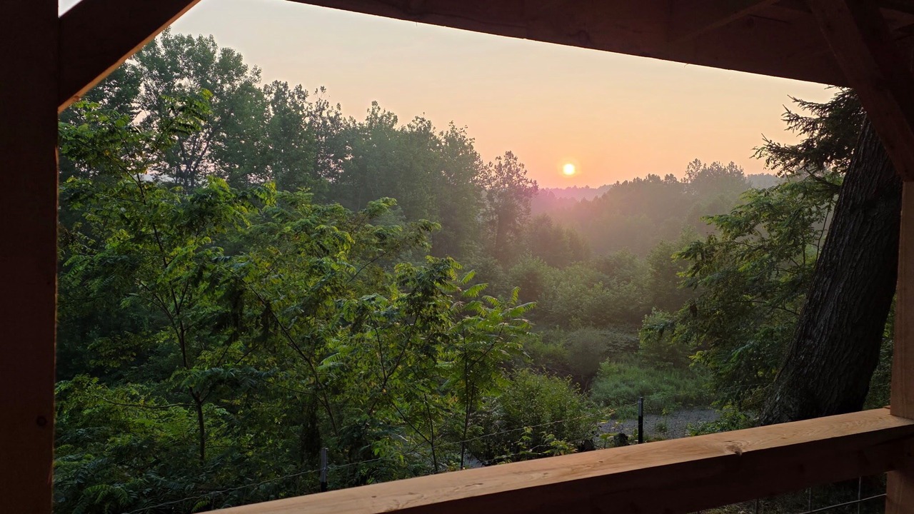 Photo of Others in Angelica