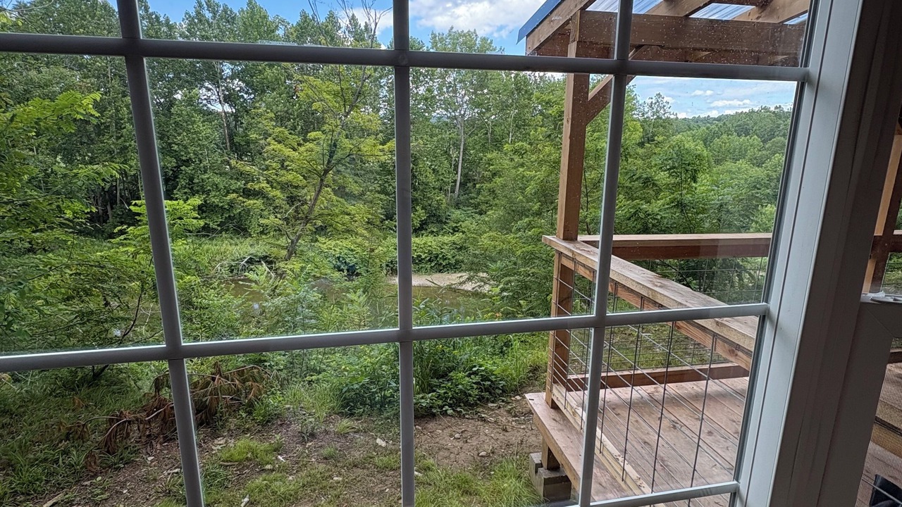 Photo of Others in Angelica