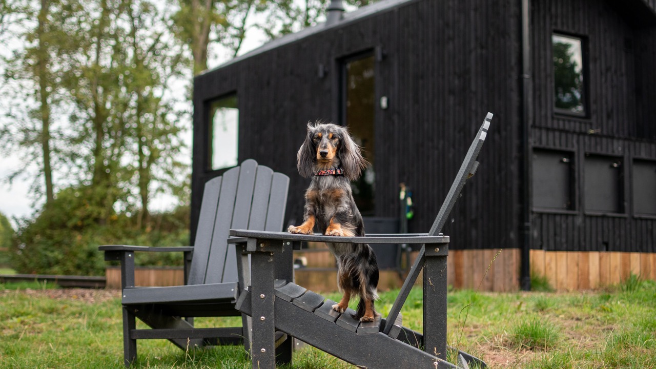 Photo of Outdoor in Tarporley