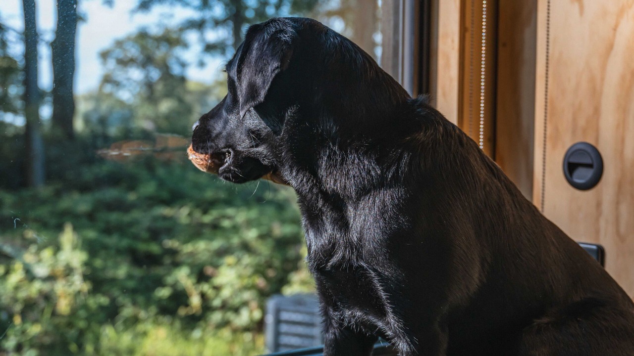 Photo of Others in Tarporley