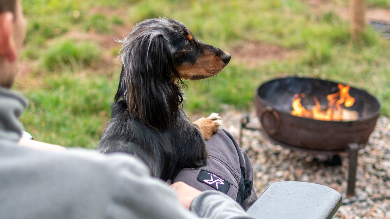 Photo of Outdoor in Tarporley