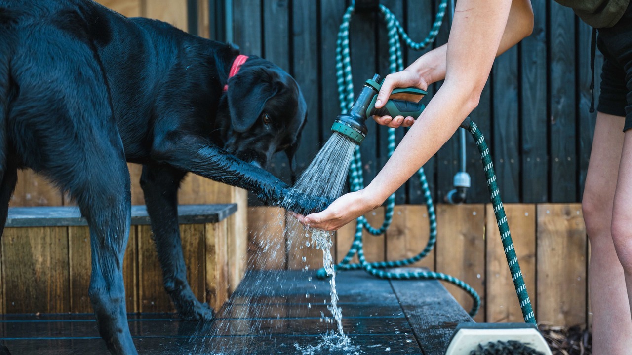 Photo of Others in Tarporley