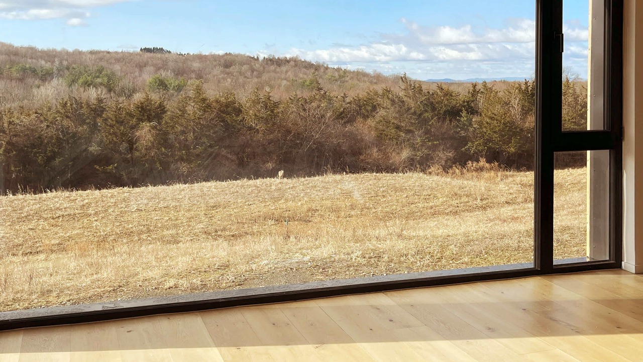 Photo of Others in Hollowville