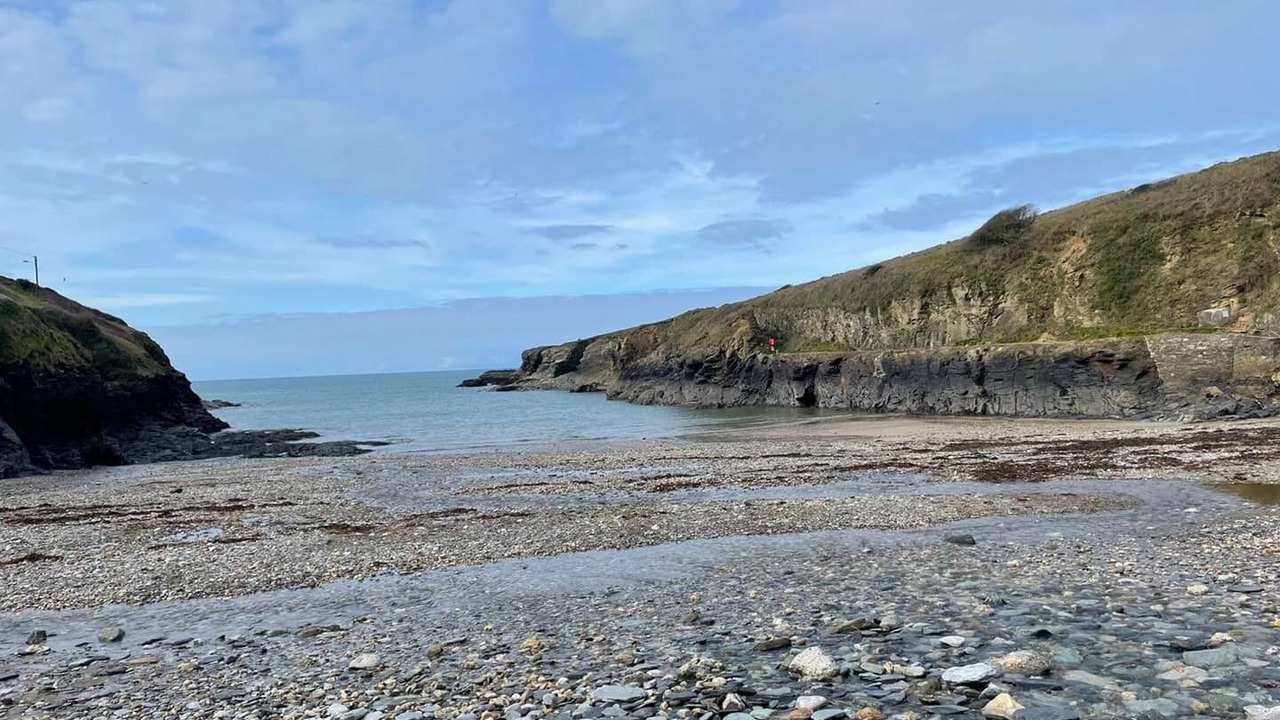 Photo of Others in Port Isaac