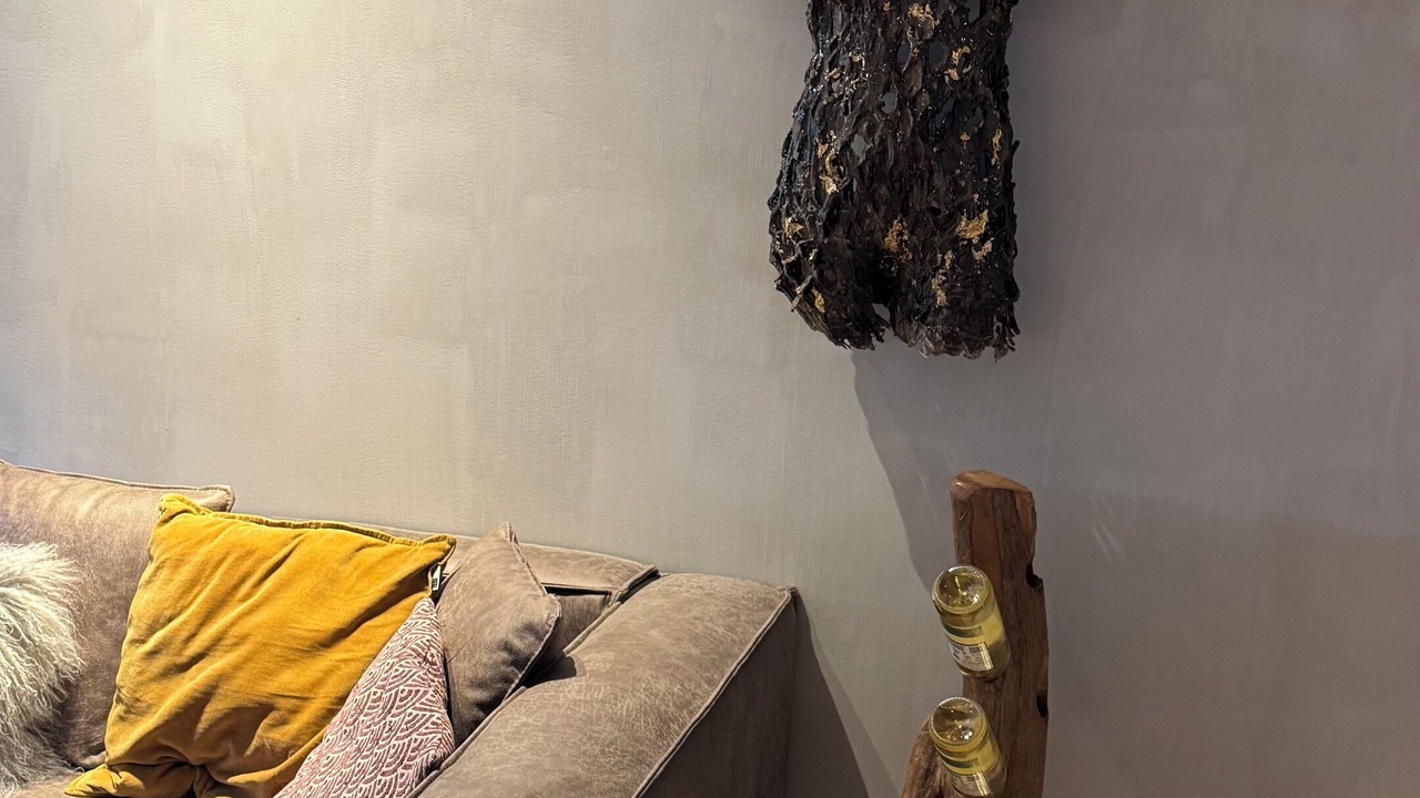 Photo of Livingroom in Canillo
