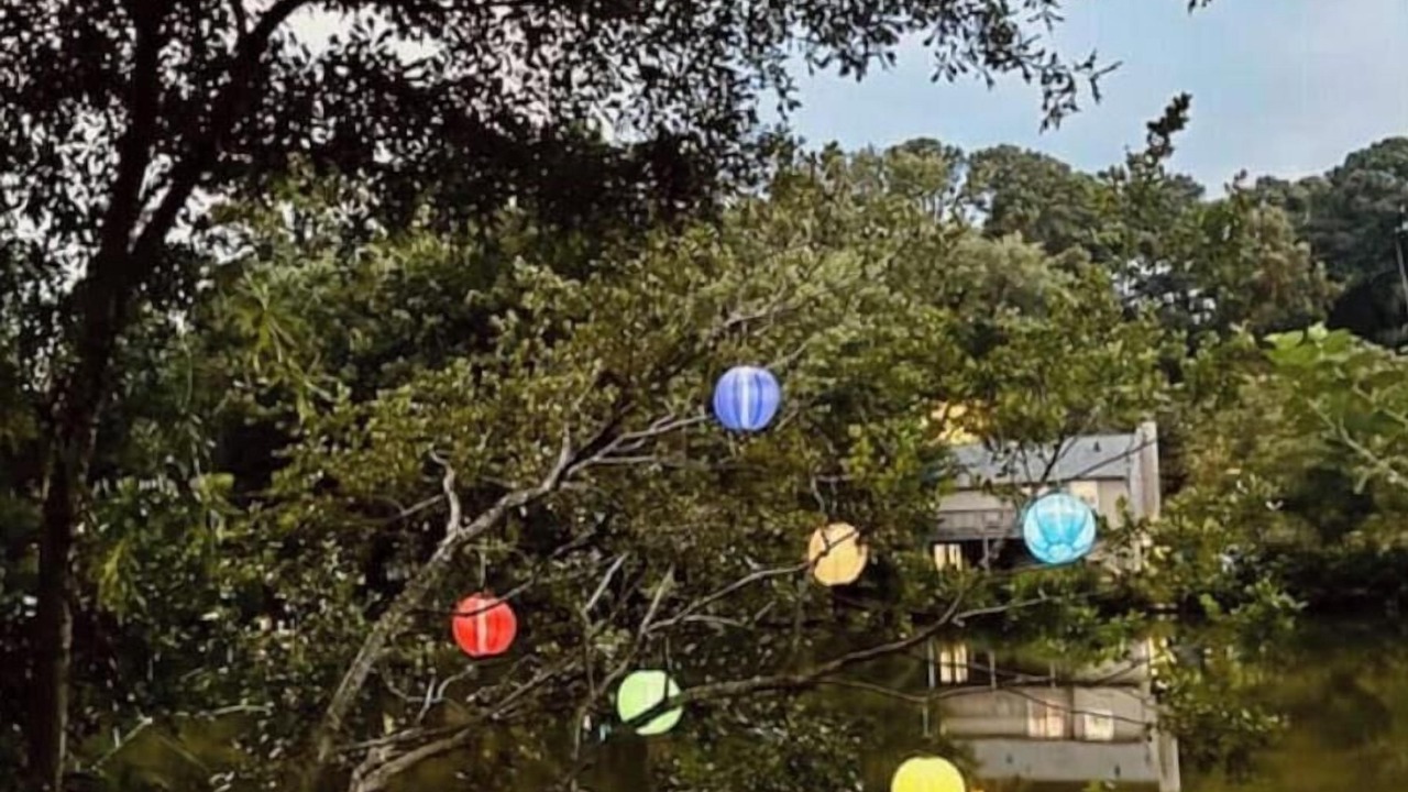 Photo of Others in Duluth