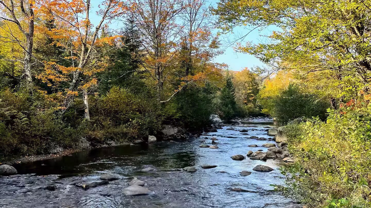 Photo of Others in East Haven
