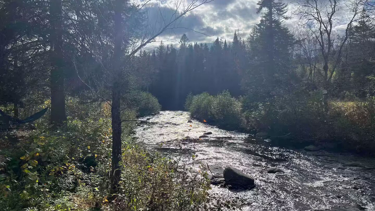 Photo of Others in East Haven