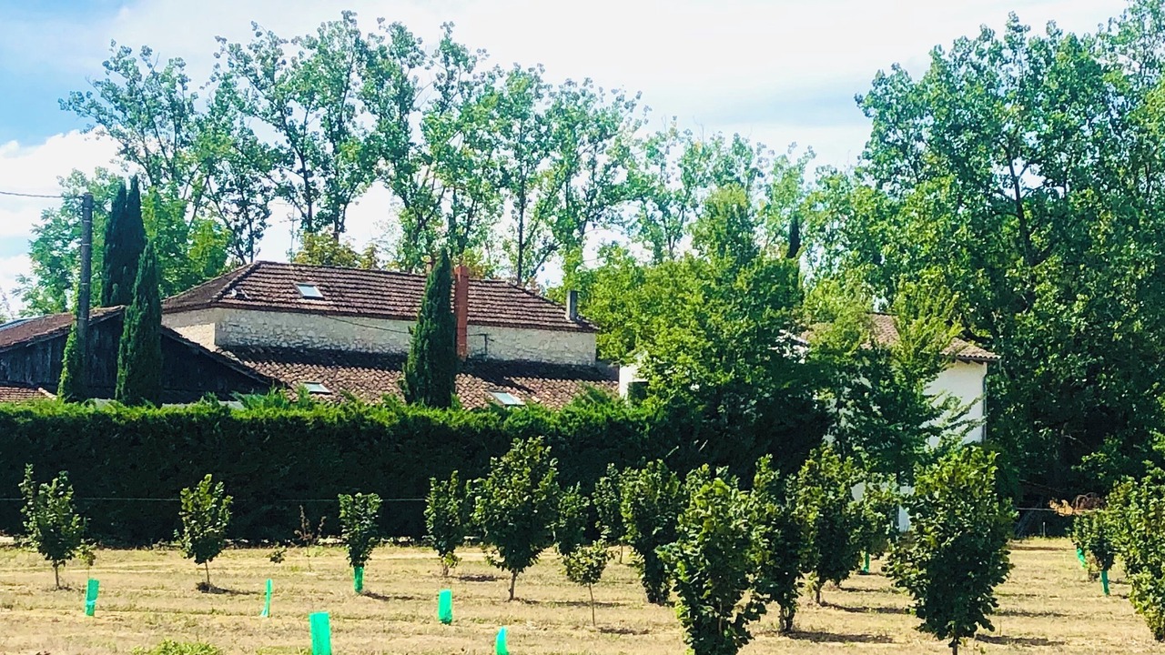 Photo of Outdoor in Astaffort