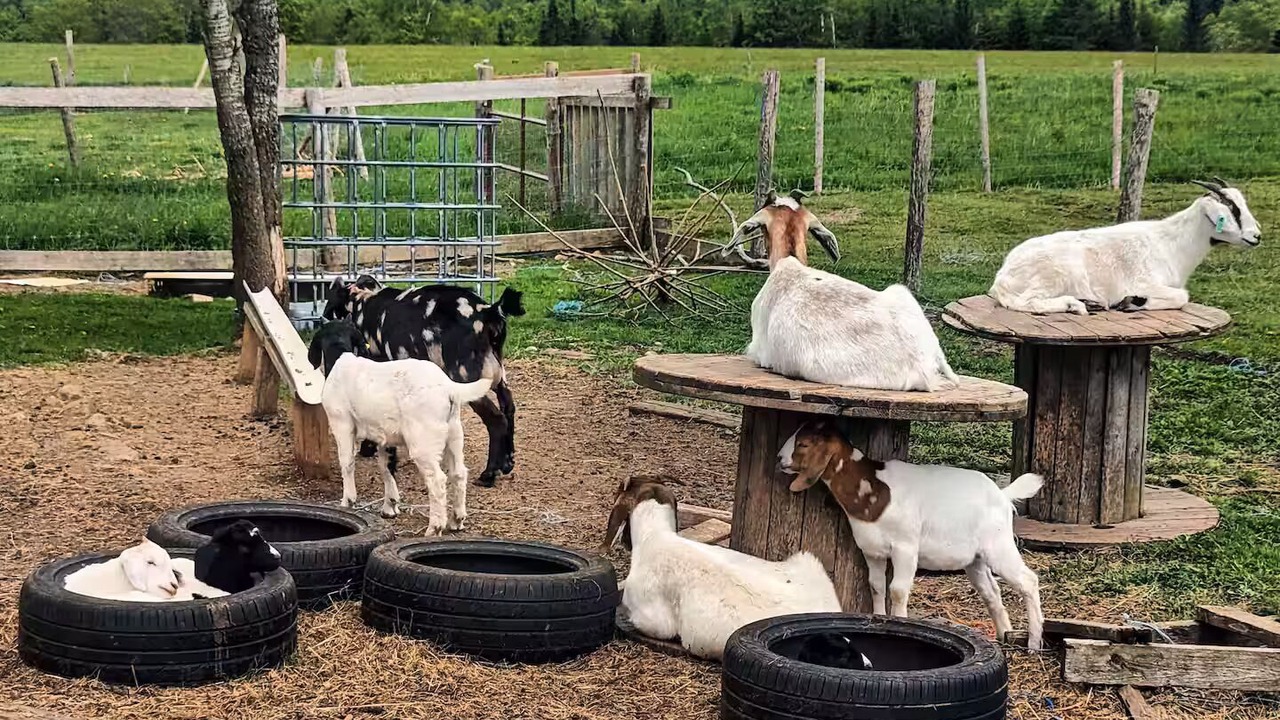 Photo of Others in Onslow