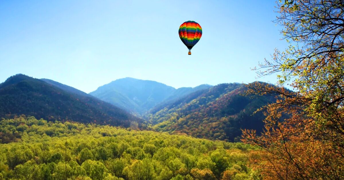Photo of Others in Asheville